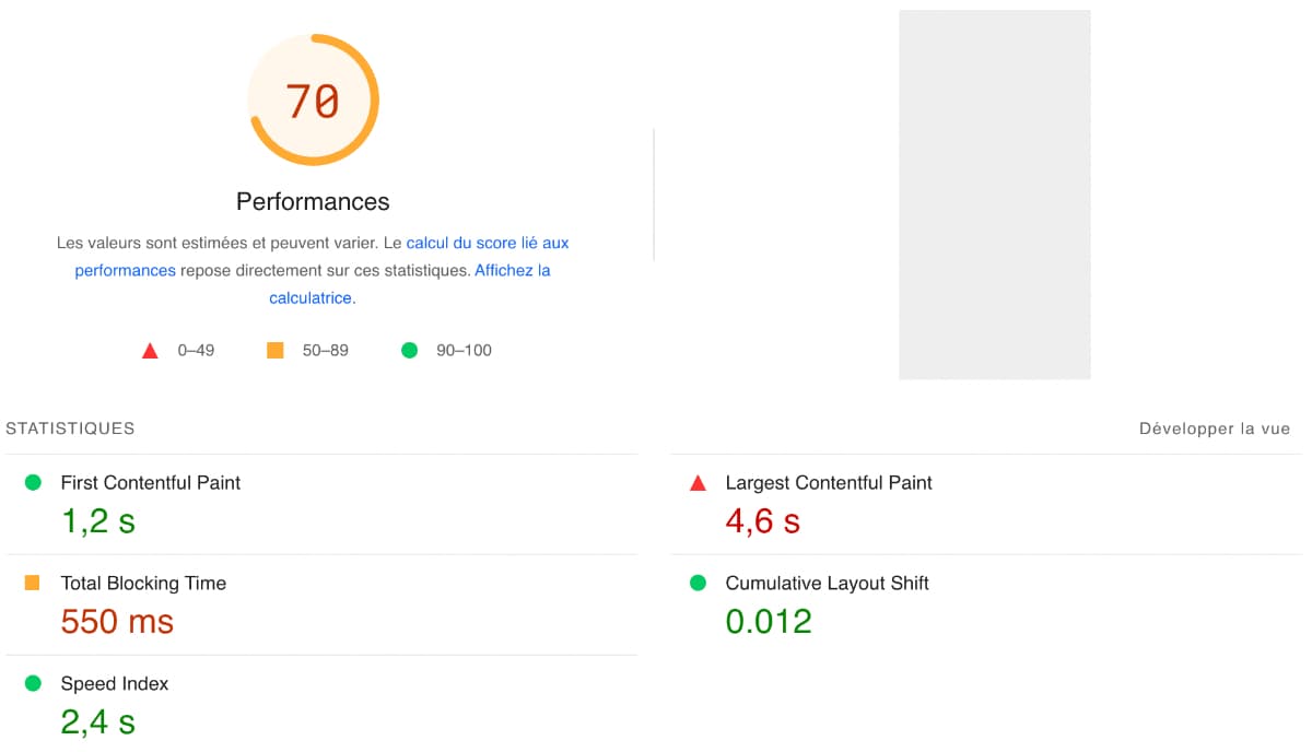 Screenshot d'un résultat d’analyse sur Pagespeed  Insights